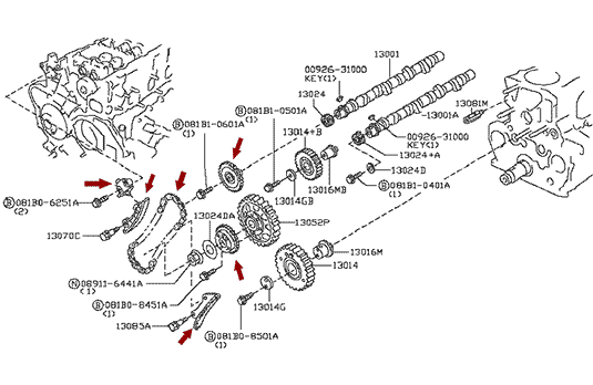 Ремкомплект ГРМ NISSAN CABSTAR (Ниссан Кабстар) F24 дв. ZD30DDTI, 130282W200 Размещение на схеме ремкомплекта ГРМ NISSAN CABSTAR (Ниссан Кабстар) F24 дв. ZD30DDTI, 130282W200